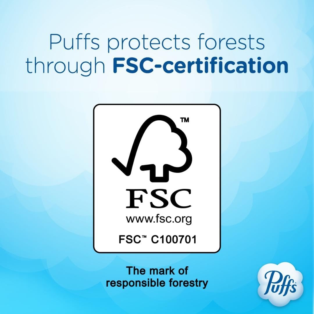 plus Lotion Facial Tissue, 1 Family Box, 124 Tissues per Box