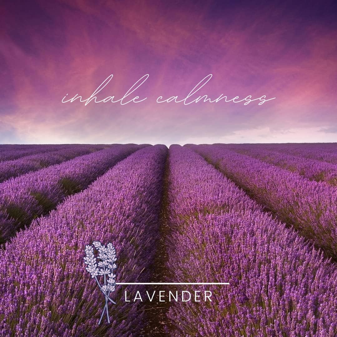 Small Trash Bags - 4 Gallon, 80 Bags (2 Pack of 80 Count), Twist Tie - Lavender Bag in Lavender Scent