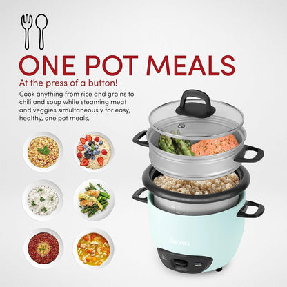 ® 6-Cup (Cooked) / 1.5Qt. Rice & Grain Cooker (ARC-743-1NGBL), Light Blue