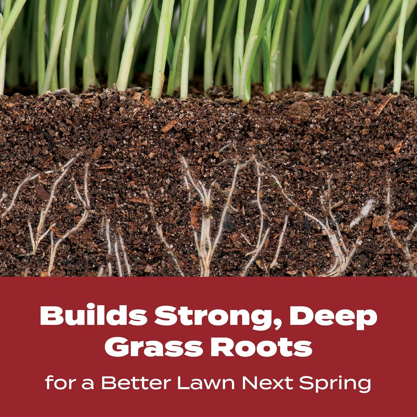 Turf Builder Winterguard Fall Lawn Fertilizer for All Grass Types, 5,000 Sq. Ft., 12.5 Lbs.