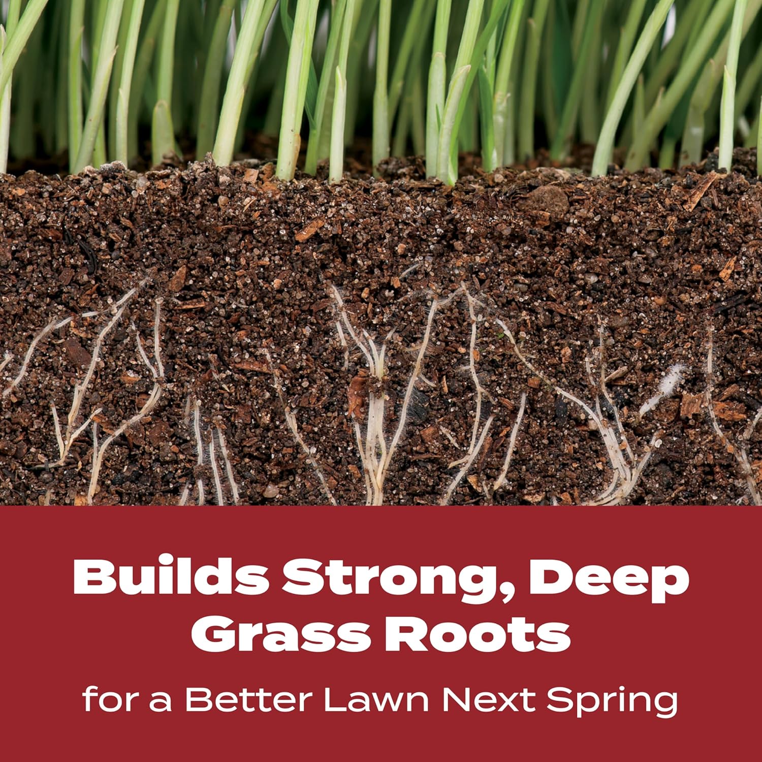 Turf Builder Winterguard Fall Lawn Fertilizer for All Grass Types, 5,000 Sq. Ft., 12.5 Lbs.