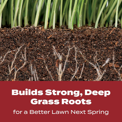 Turf Builder Winterguard Fall Lawn Fertilizer for All Grass Types, 5,000 Sq. Ft., 12.5 Lbs.