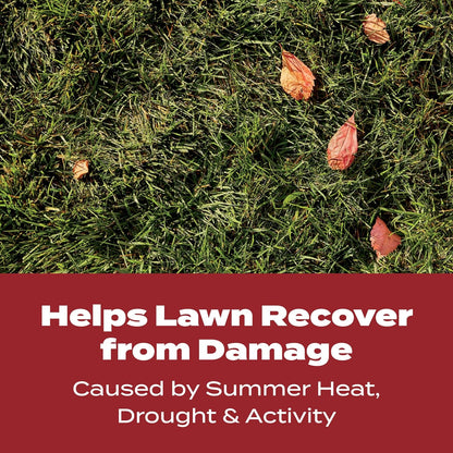 Turf Builder Winterguard Fall Lawn Fertilizer for All Grass Types, 5,000 Sq. Ft., 12.5 Lbs.